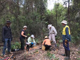 Bushcare group planting trees